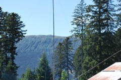 1_dsc_0515