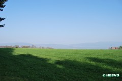 dsc_0595
