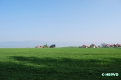 dsc_0596