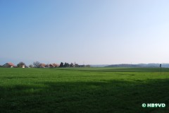 dsc_0597